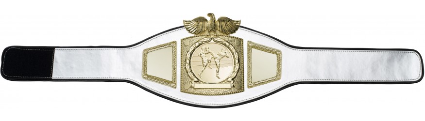 PROEAGLE THAI BOXING CHAMPIONSHIP BELT - PROEAGLE/G/TBOG - AVAILABLE IN 6+ COLOURS